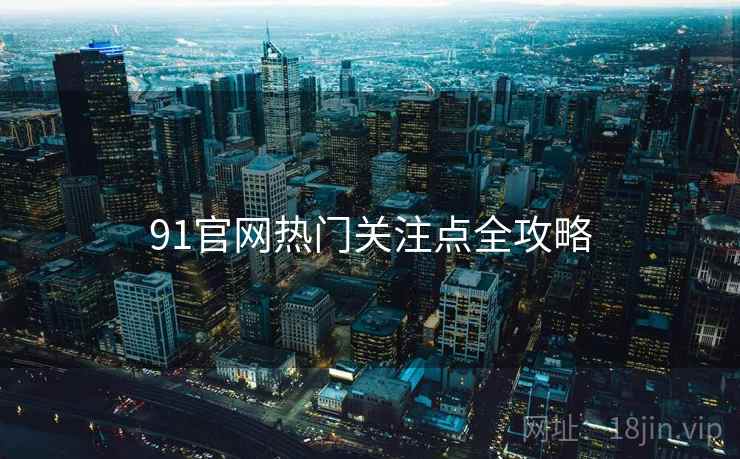 91官网热门关注点全攻略