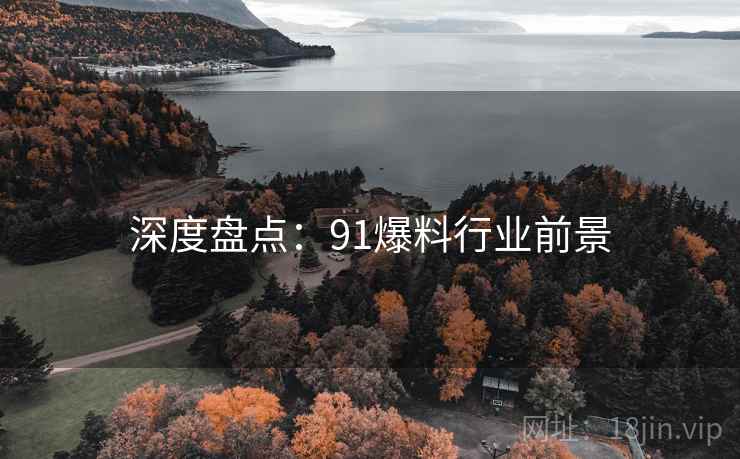 深度盘点：91爆料行业前景