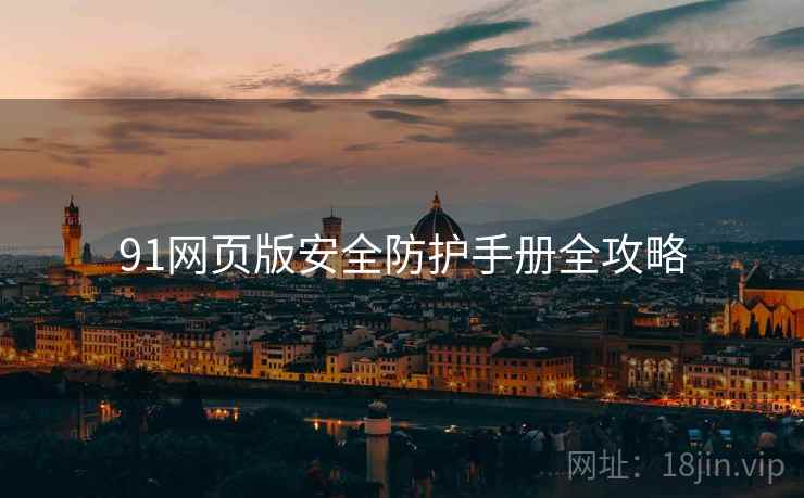 91网页版安全防护手册全攻略