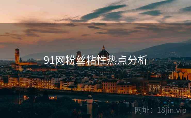 91网粉丝粘性热点分析