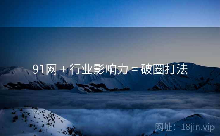 91网 + 行业影响力 = 破圈打法