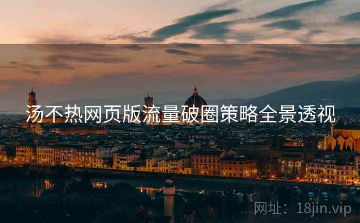 汤不热网页版流量破圈策略全景透视
