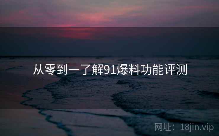 从零到一了解91爆料功能评测