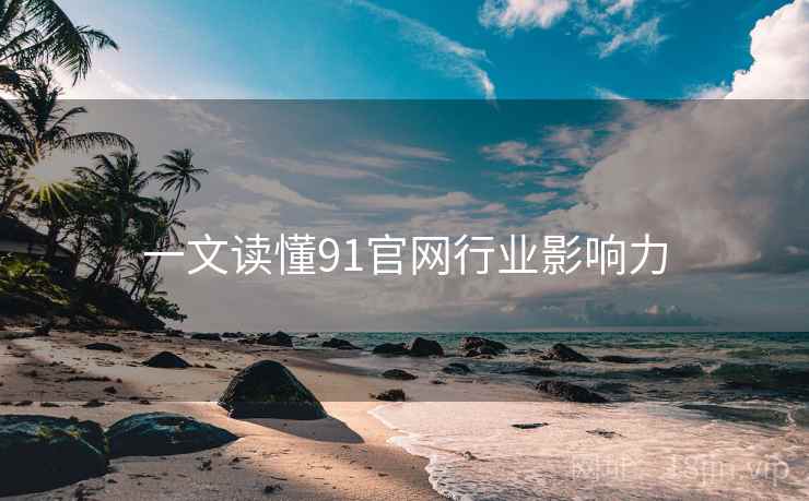 一文读懂91官网行业影响力