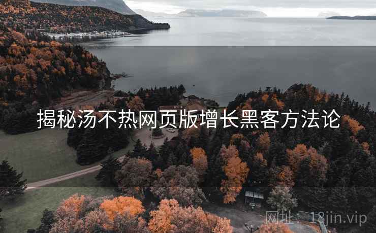 揭秘汤不热网页版增长黑客方法论