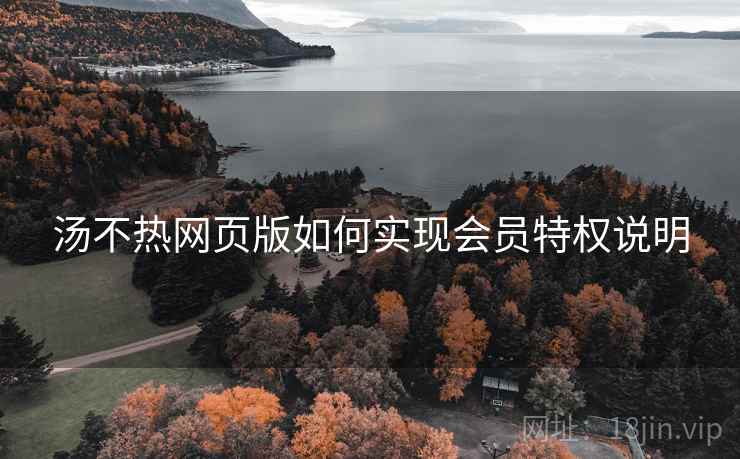 汤不热网页版如何实现会员特权说明