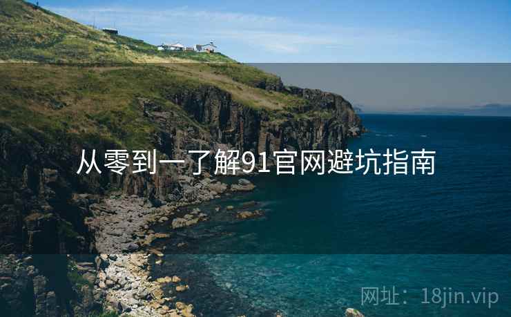 从零到一了解91官网避坑指南