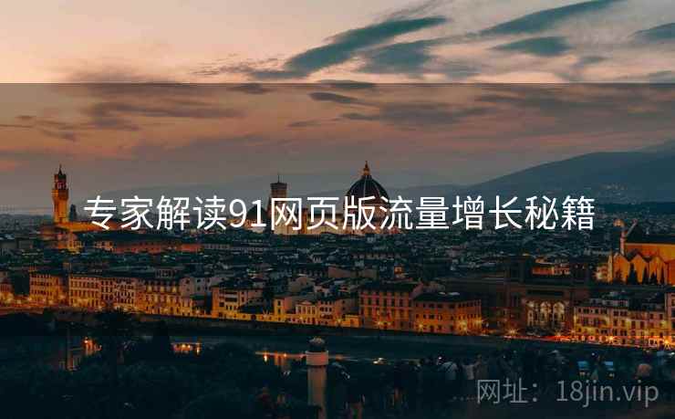 专家解读91网页版流量增长秘籍